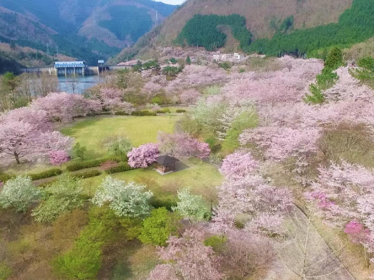 Ryokan Kigusuriya Nantan city Zewnętrze zdjęcie